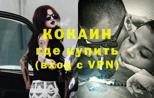 соль ск Новодвинск