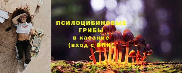 соль ск Новодвинск