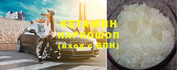 индика Горнозаводск
