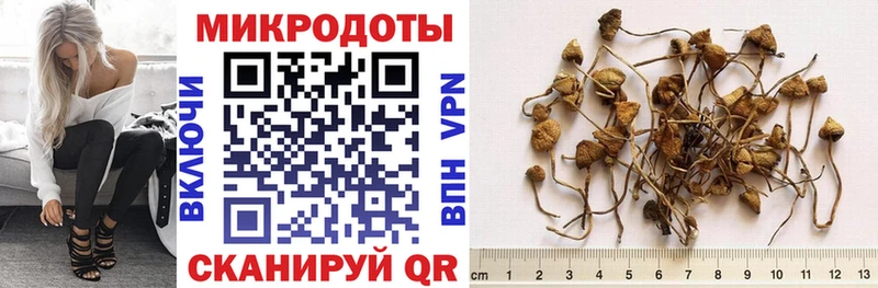 Псилоцибиновые грибы ЛСД  кракен сайт  Облучье 